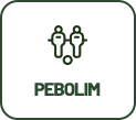 Pebolim